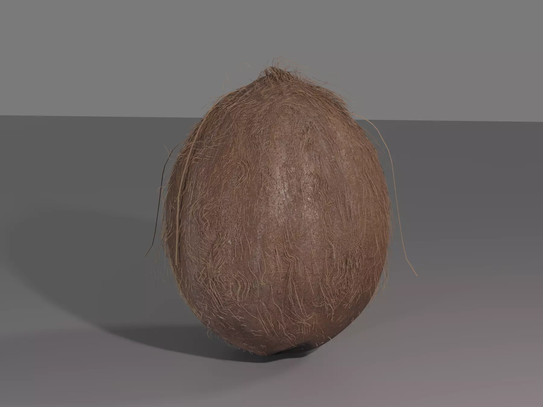 COCONUT 3D model_0