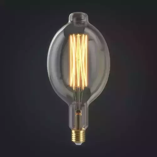 Light bulb 24 3D model