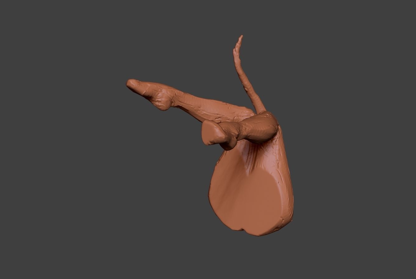 Clay Legs 9 3D print model_7