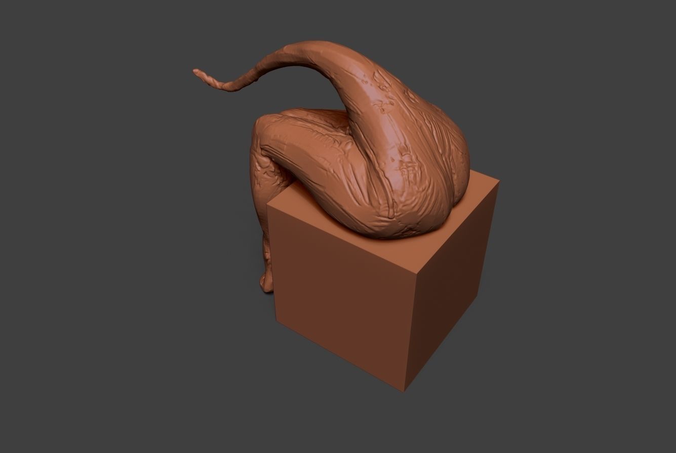 Clay Legs 9 3D print model_5