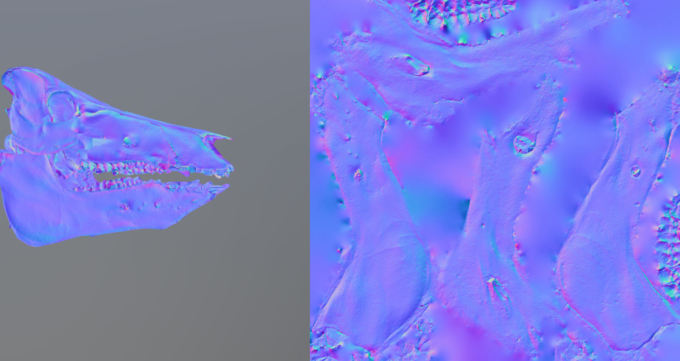 Photorealistic Wild Boar skull and a lower jaw Low-poly 3D model_82