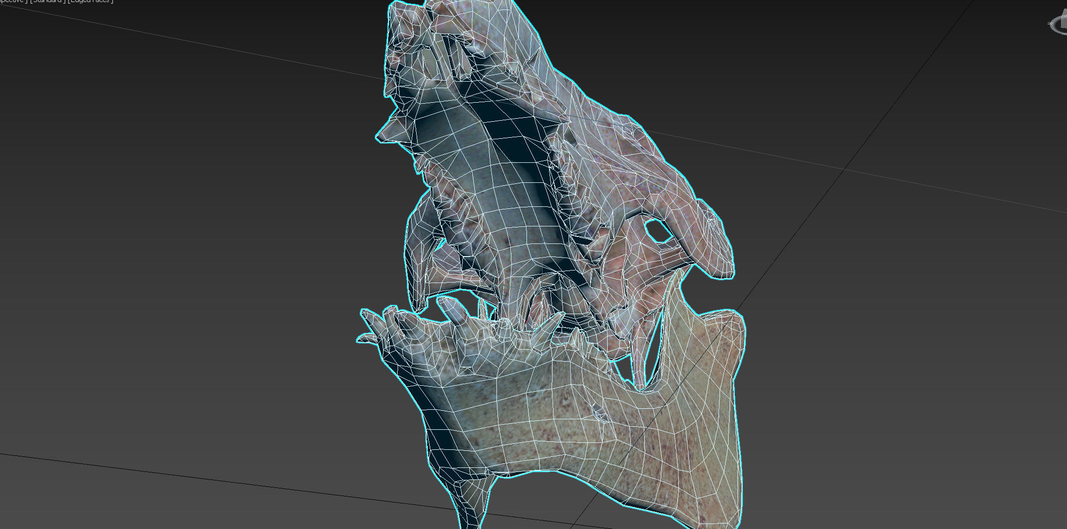 Photorealistic Wild Boar skull and a lower jaw Low-poly 3D model_86
