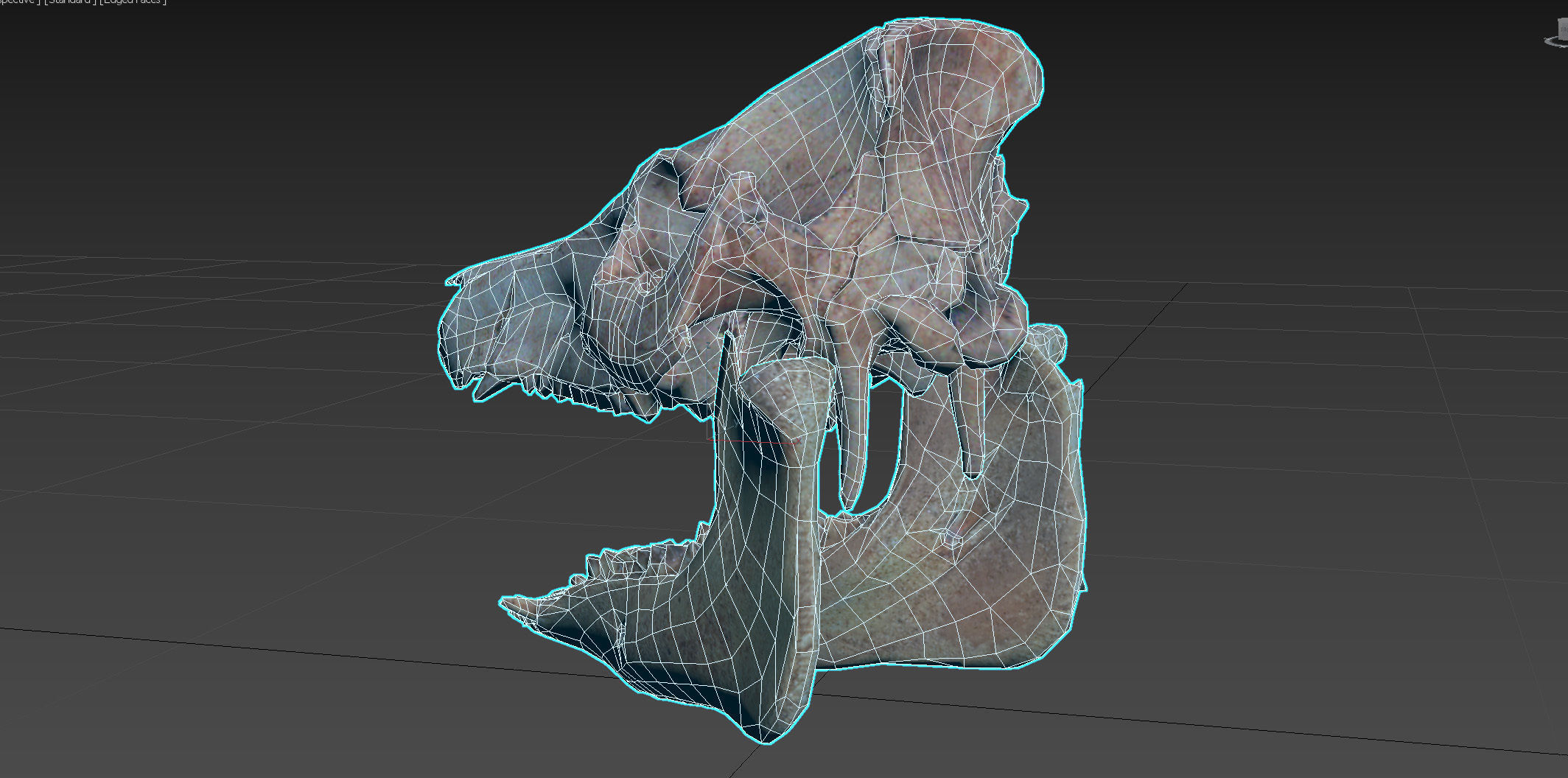 Photorealistic Wild Boar skull and a lower jaw Low-poly 3D model_93
