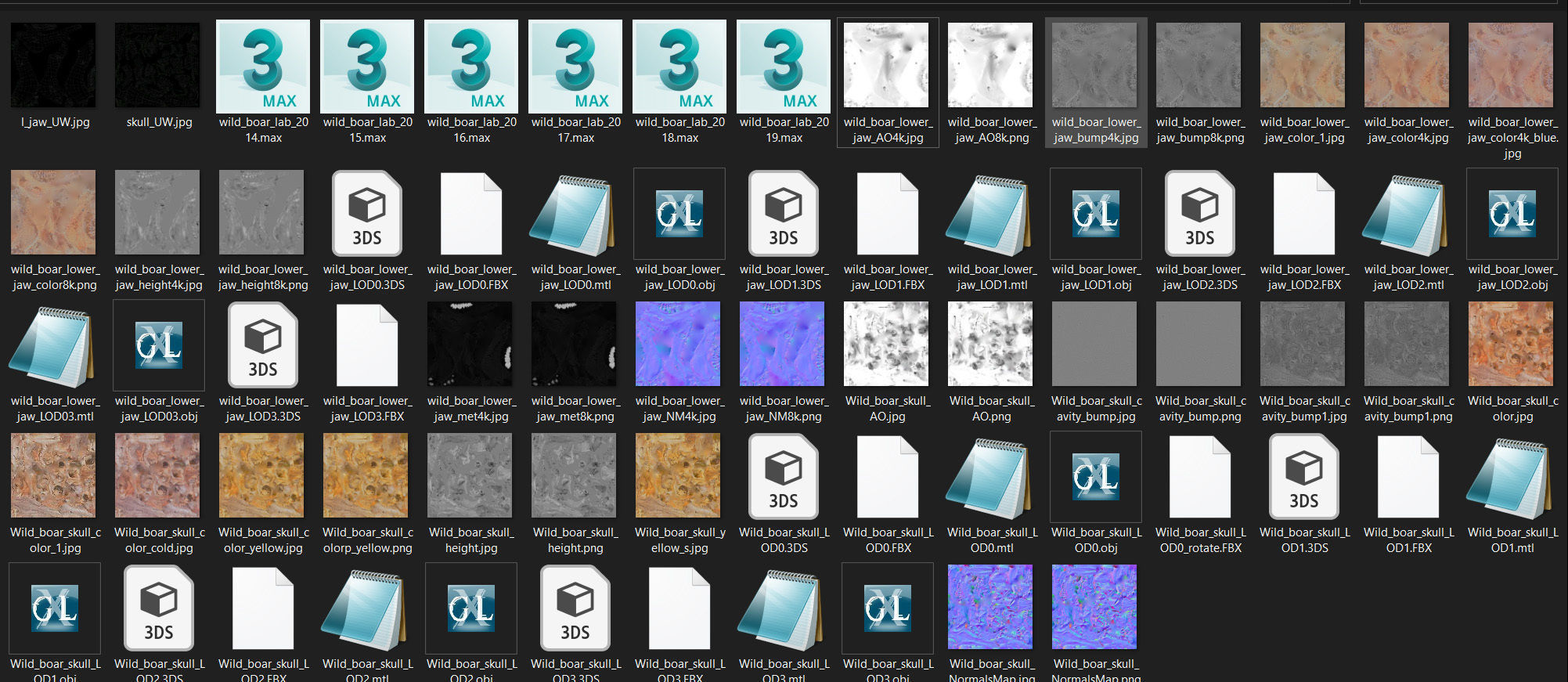 Photorealistic Wild Boar skull and a lower jaw Low-poly 3D model_107