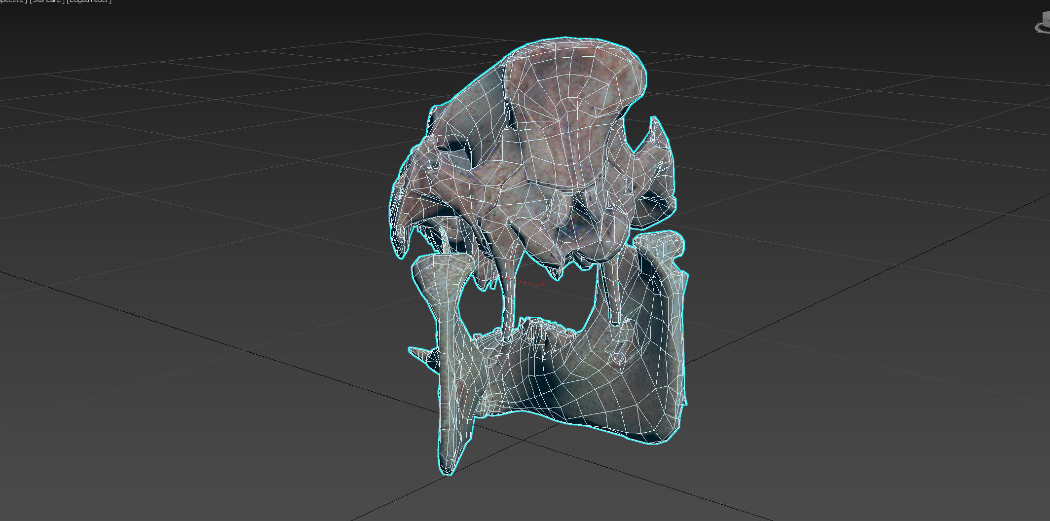 Photorealistic Wild Boar skull and a lower jaw Low-poly 3D model_91