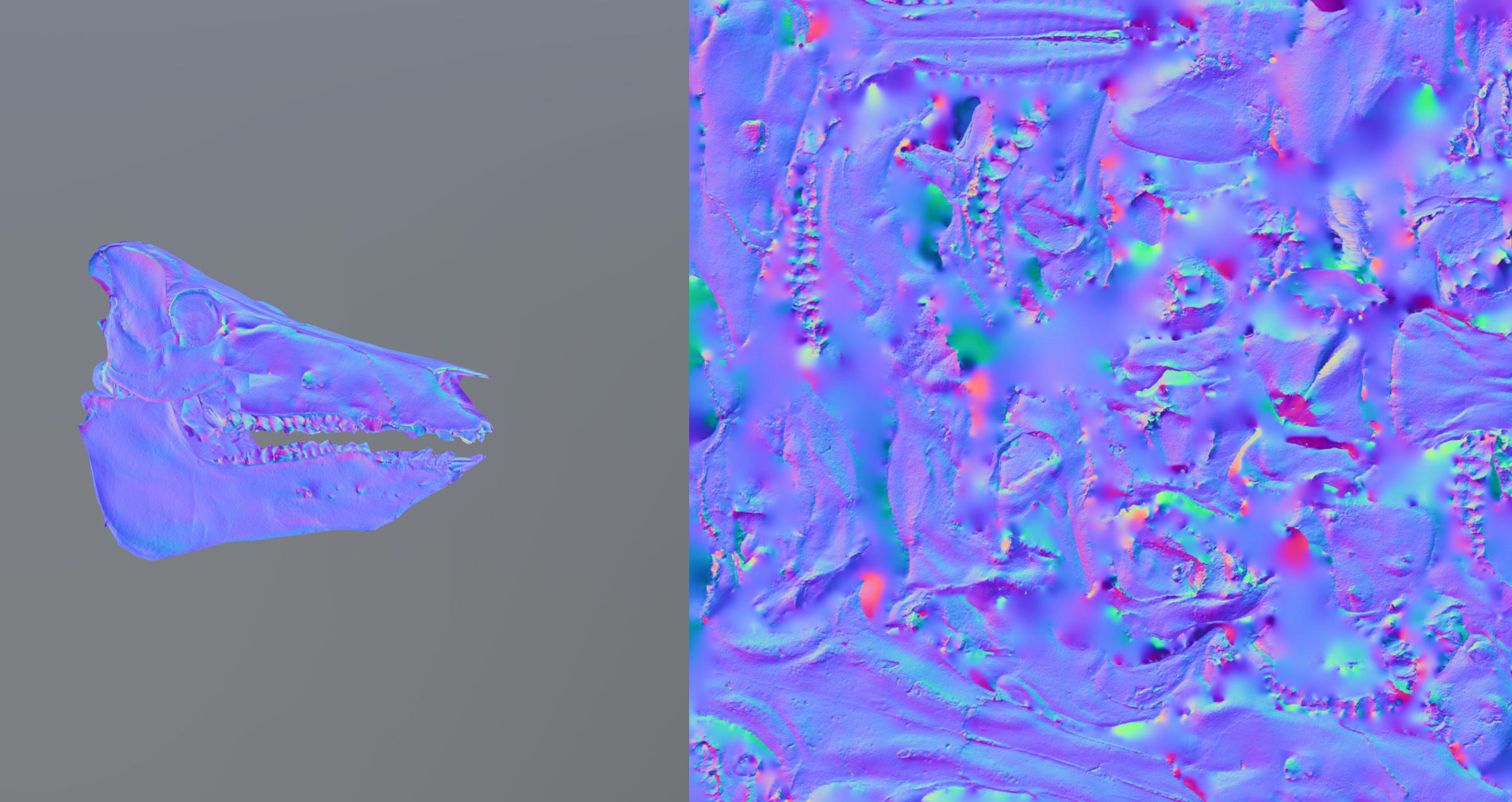 Photorealistic Wild Boar skull and a lower jaw Low-poly 3D model_84