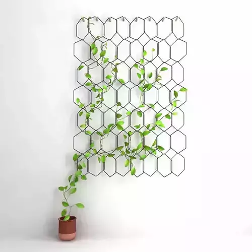 Anno Trellis   Modular  Set of  metal rings  Hexagon Compagnie