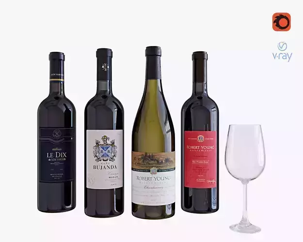 Wine bottle set 4 3D model