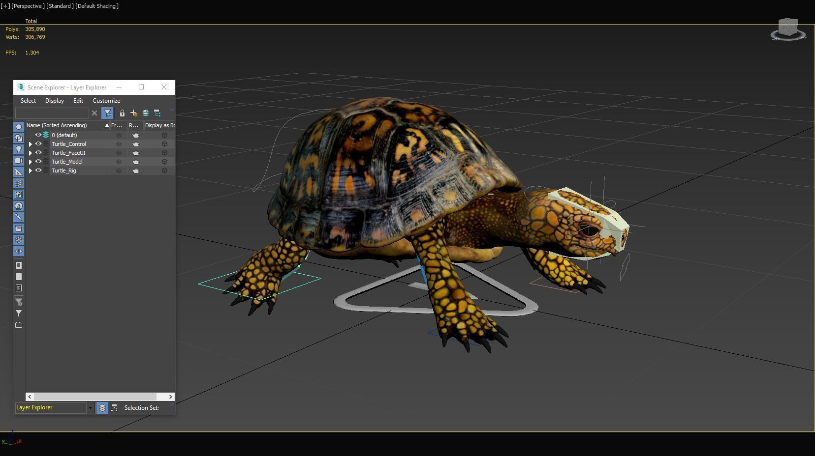 Turtle tortoise 3D model_16