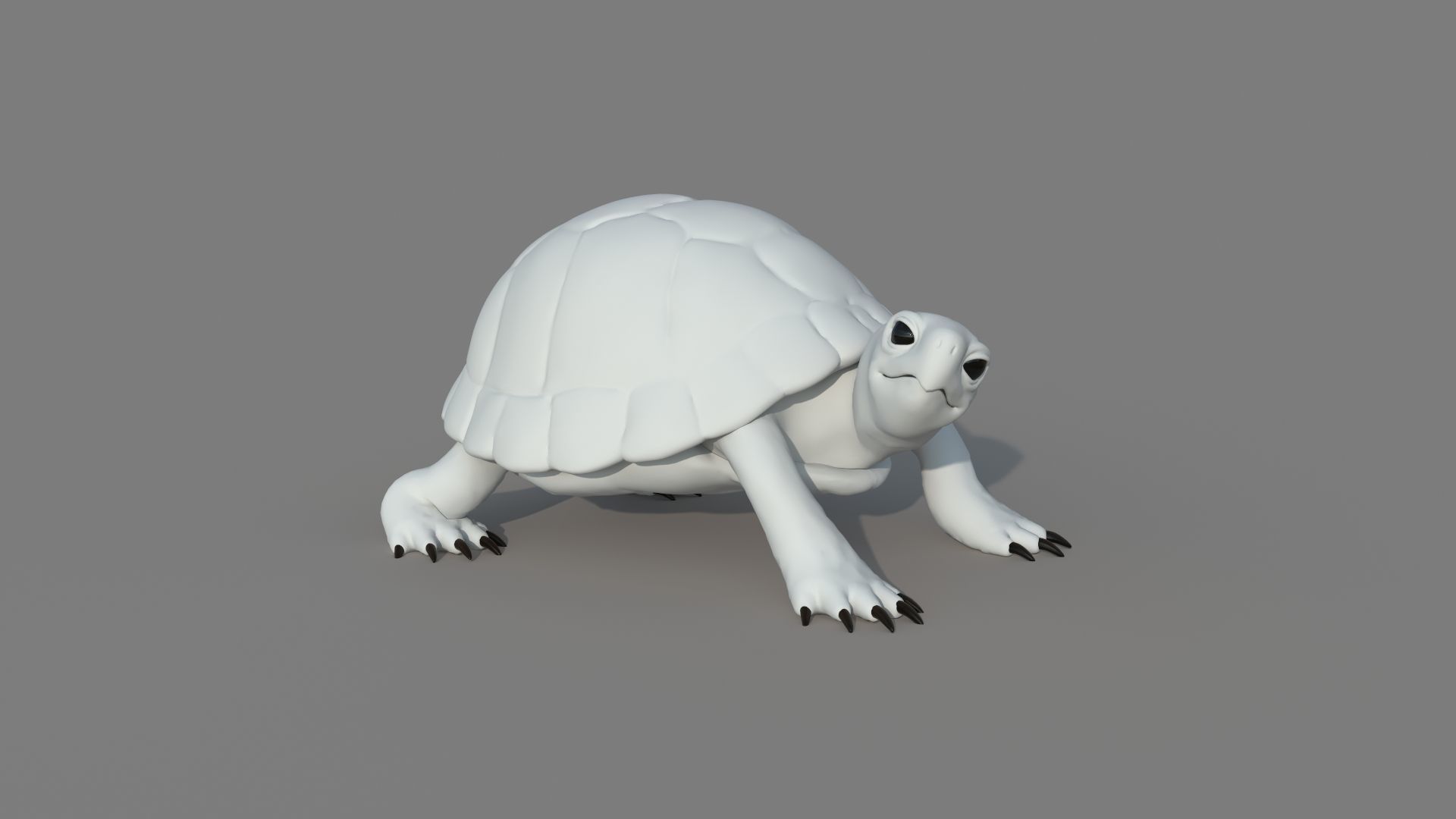 Turtle tortoise 3D model_10