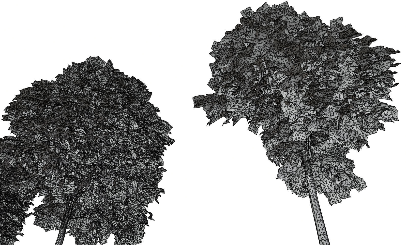 Trees with dense round crowns 3D model_9