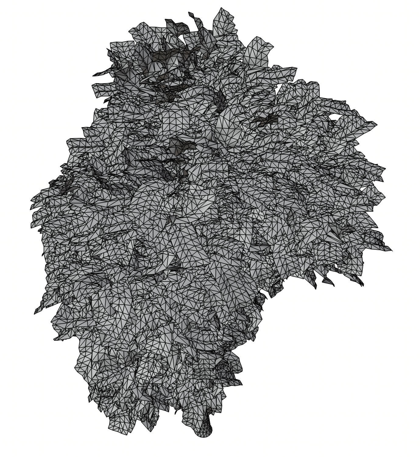 Trees with dense round crowns 3D model_8