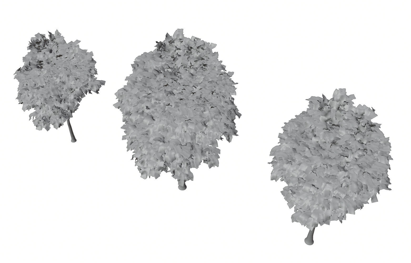 Trees with dense round crowns 3D model_7