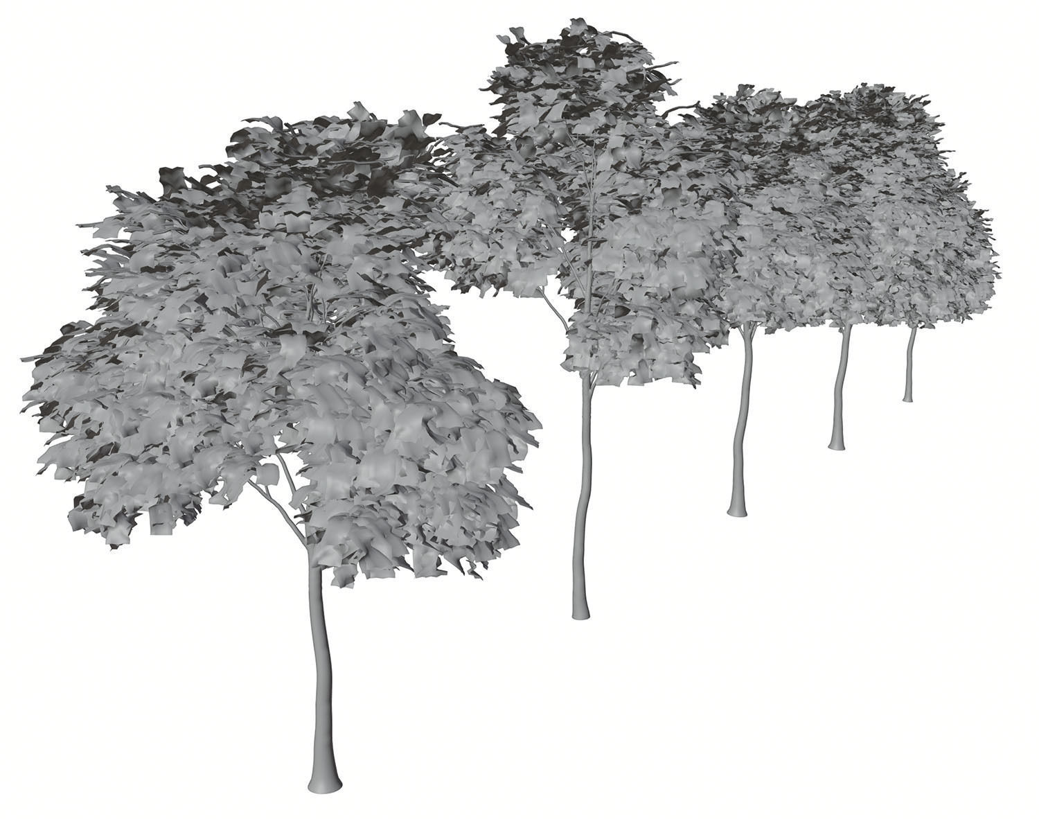 Trees with dense round crowns 3D model_5