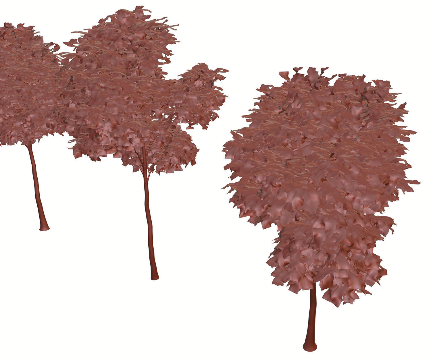 Trees with dense round crowns 3D model_11