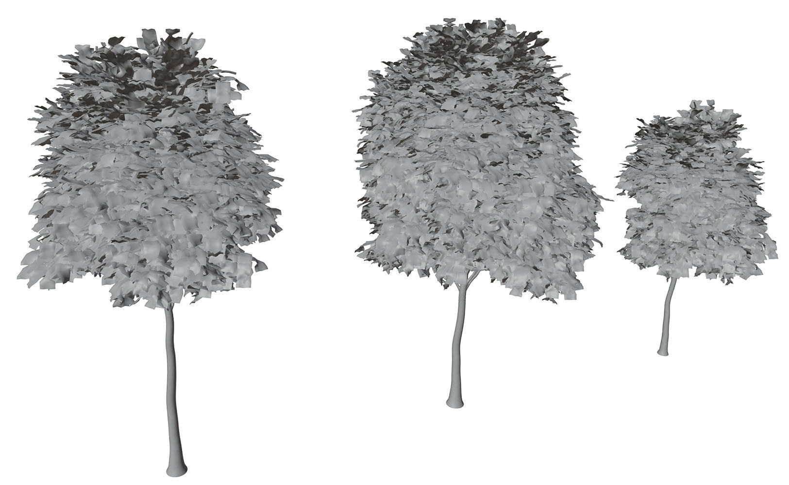 Trees with dense round crowns 3D model_6