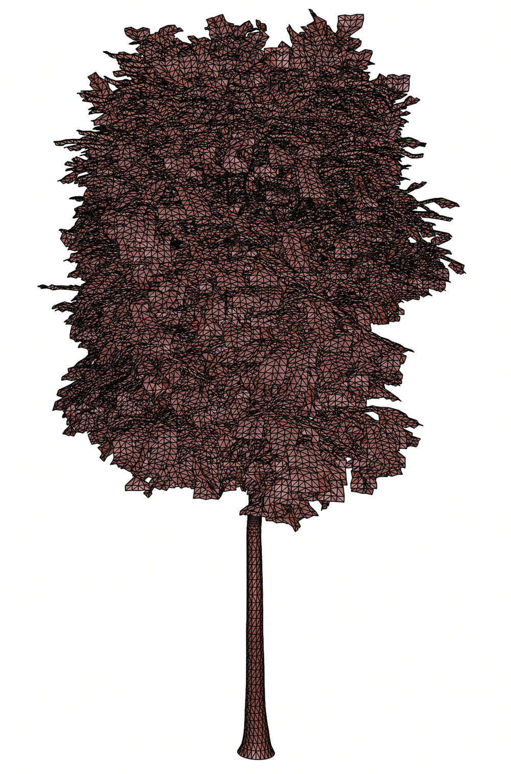 Trees with dense round crowns 3D model_13