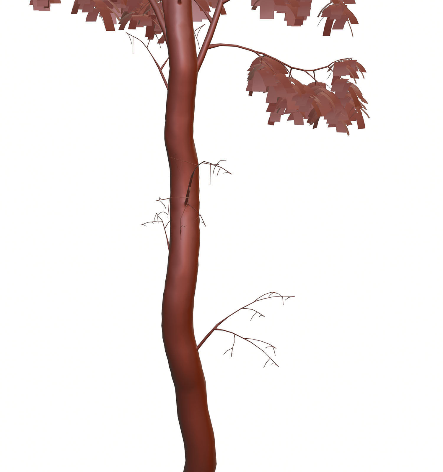 Tall deciduous trees 3D model_11