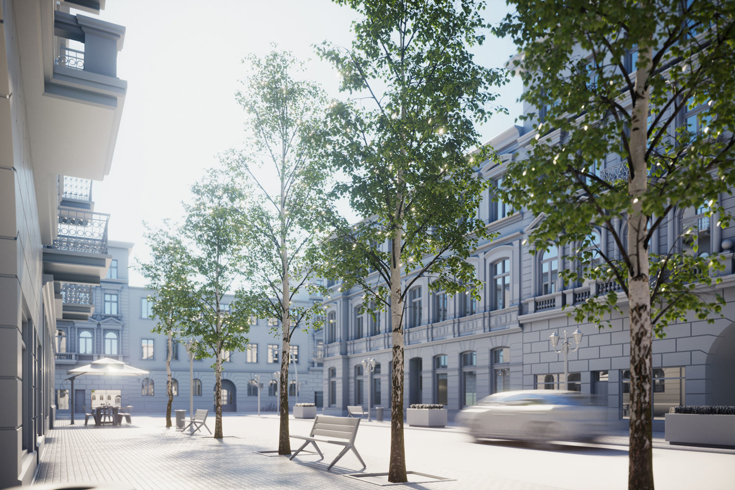 Tall deciduous trees 3D model_1