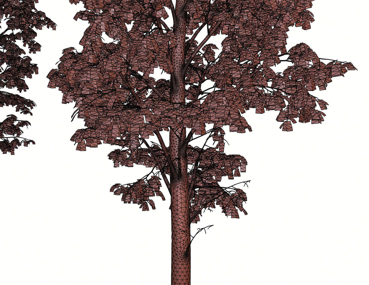Tall deciduous trees 3D model_13