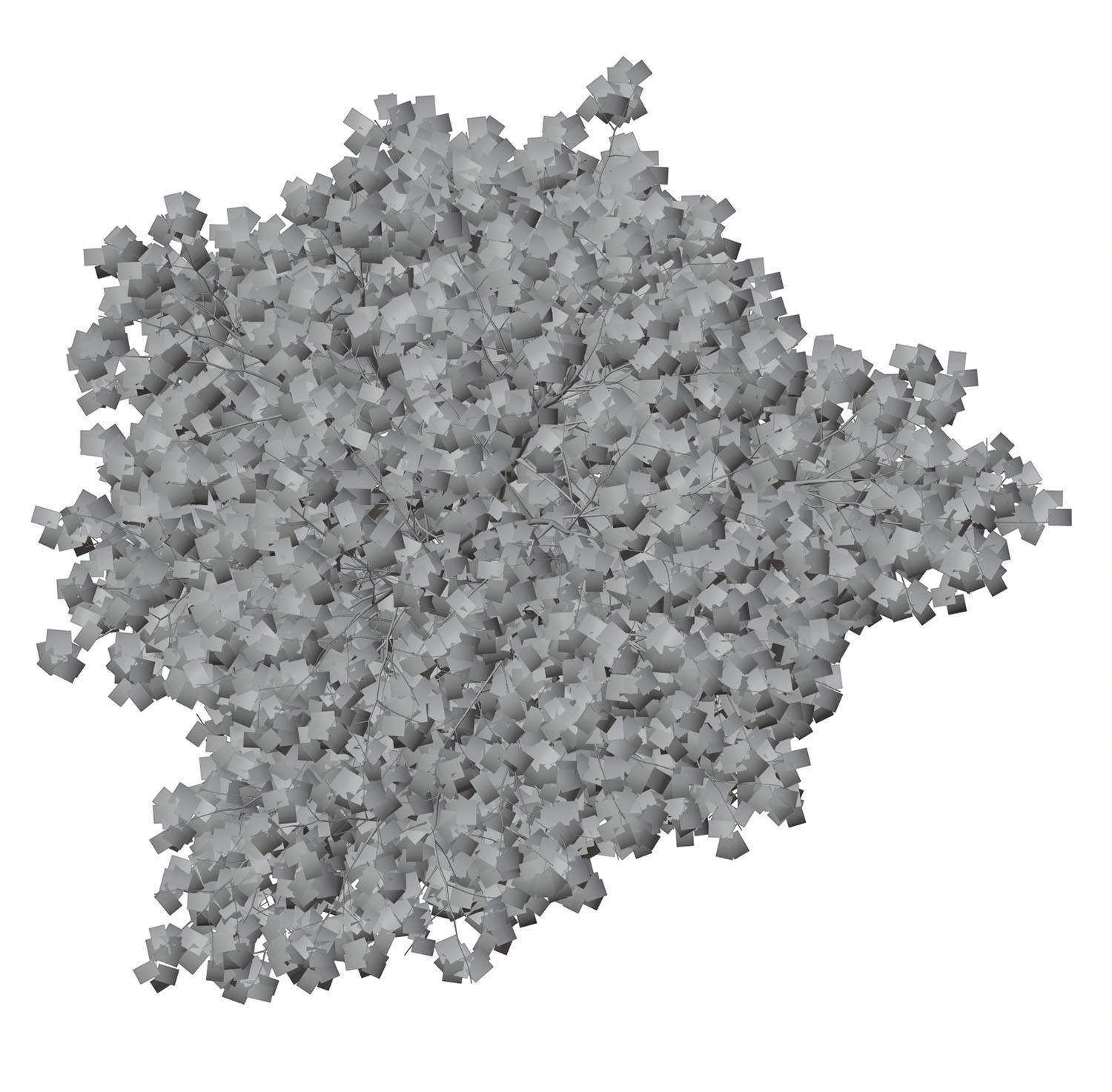 Tall deciduous trees 3D model_7