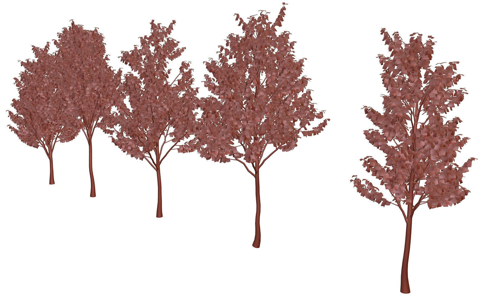 Set of deciduous trees 3D model_10