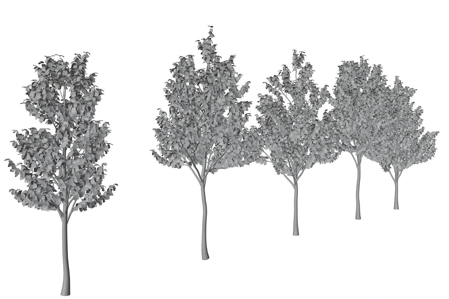 Set of deciduous trees 3D model_5