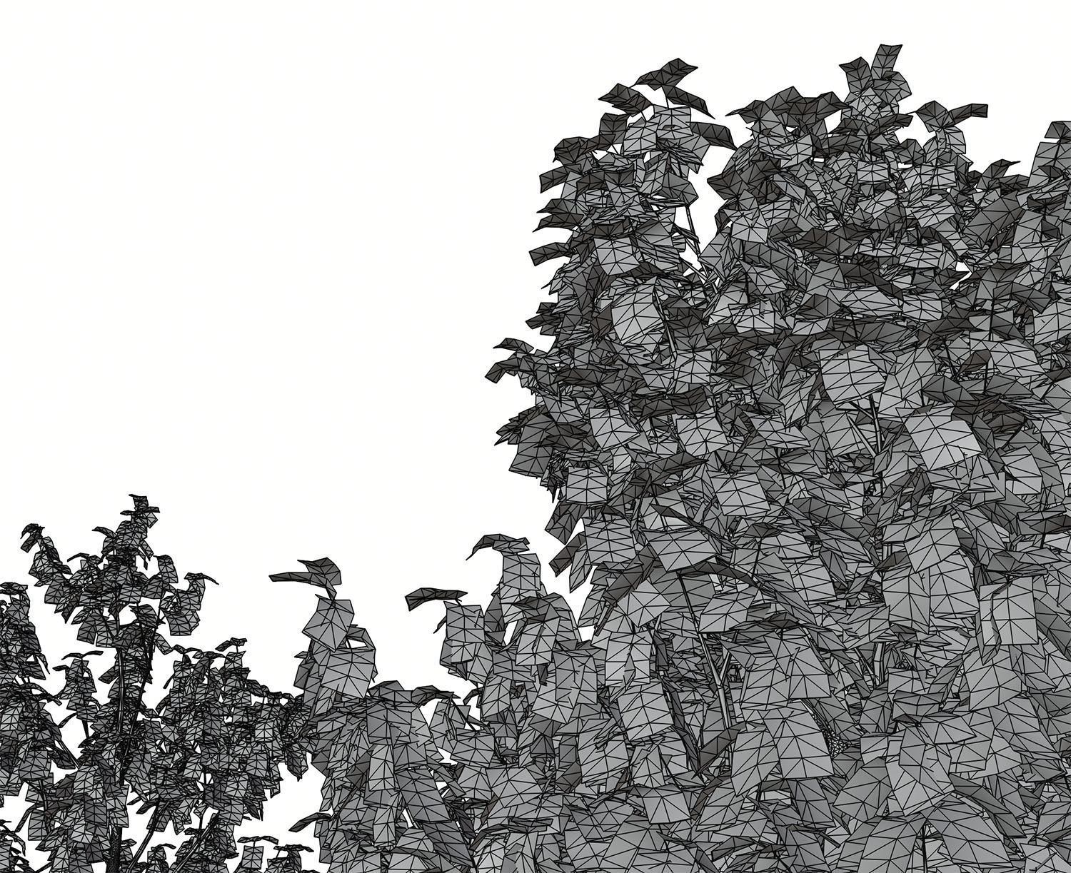 Set of deciduous trees 3D model_8