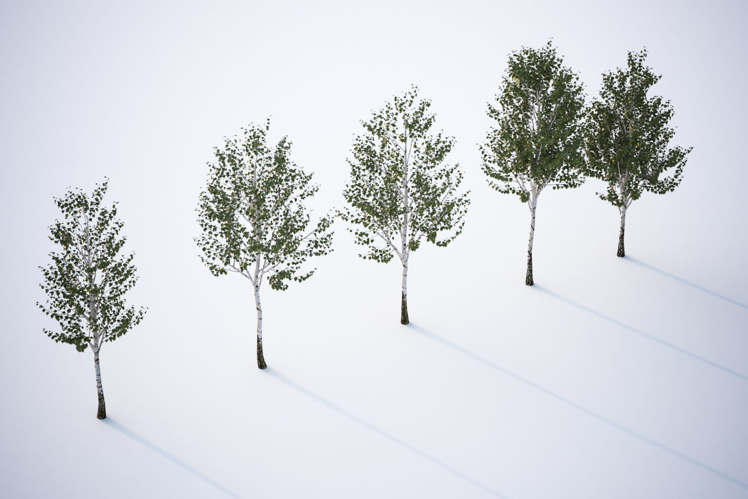Set of deciduous trees 3D model_3
