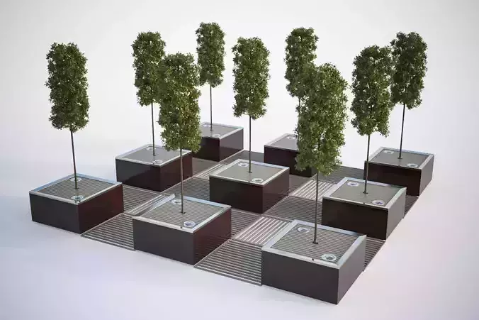 Wide flower pot  with a tree