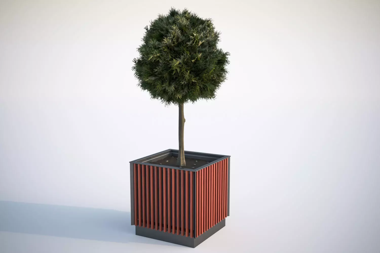 Small tree in a pot 3D model