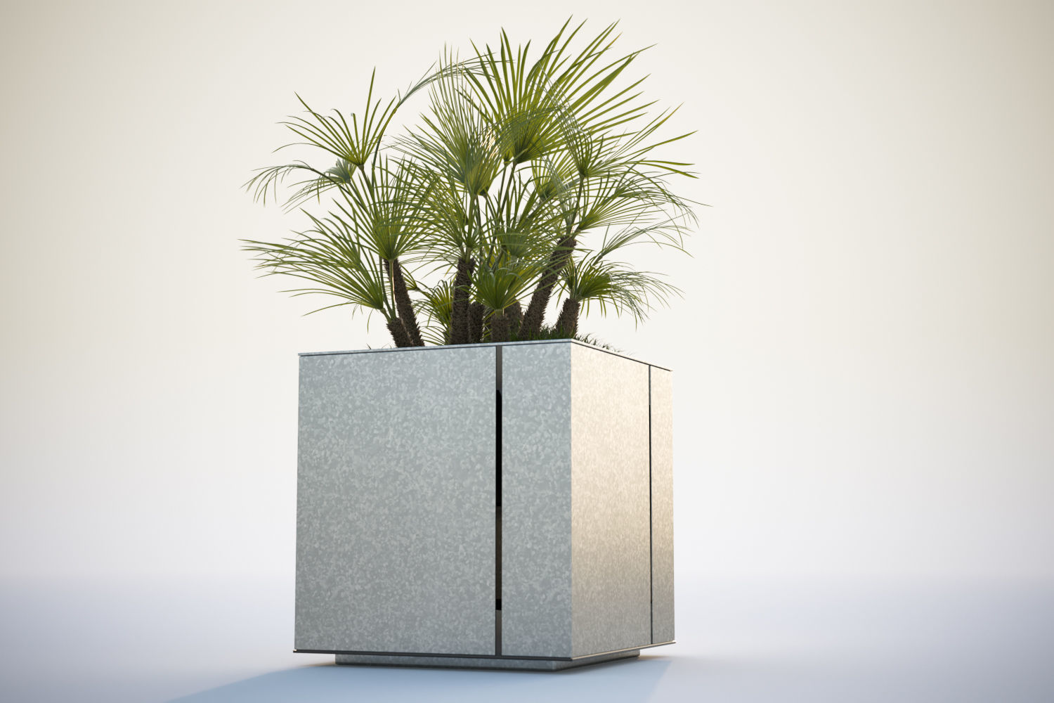 Huge palm tree in the pot 3D model_4