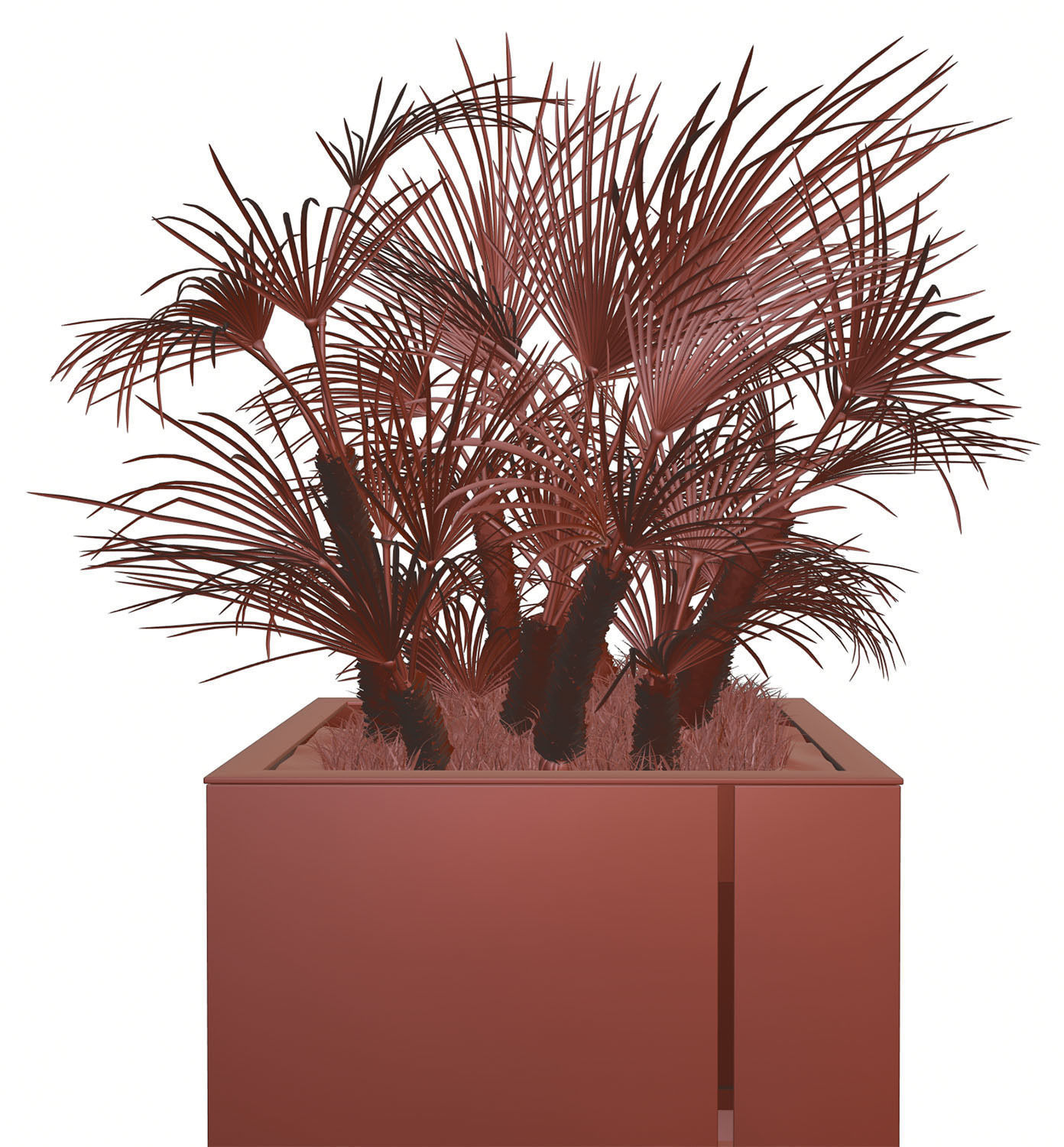 Huge palm tree in the pot 3D model_11