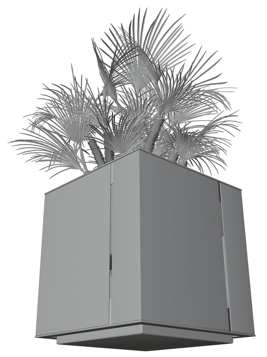 Huge palm tree in the pot 3D model_6