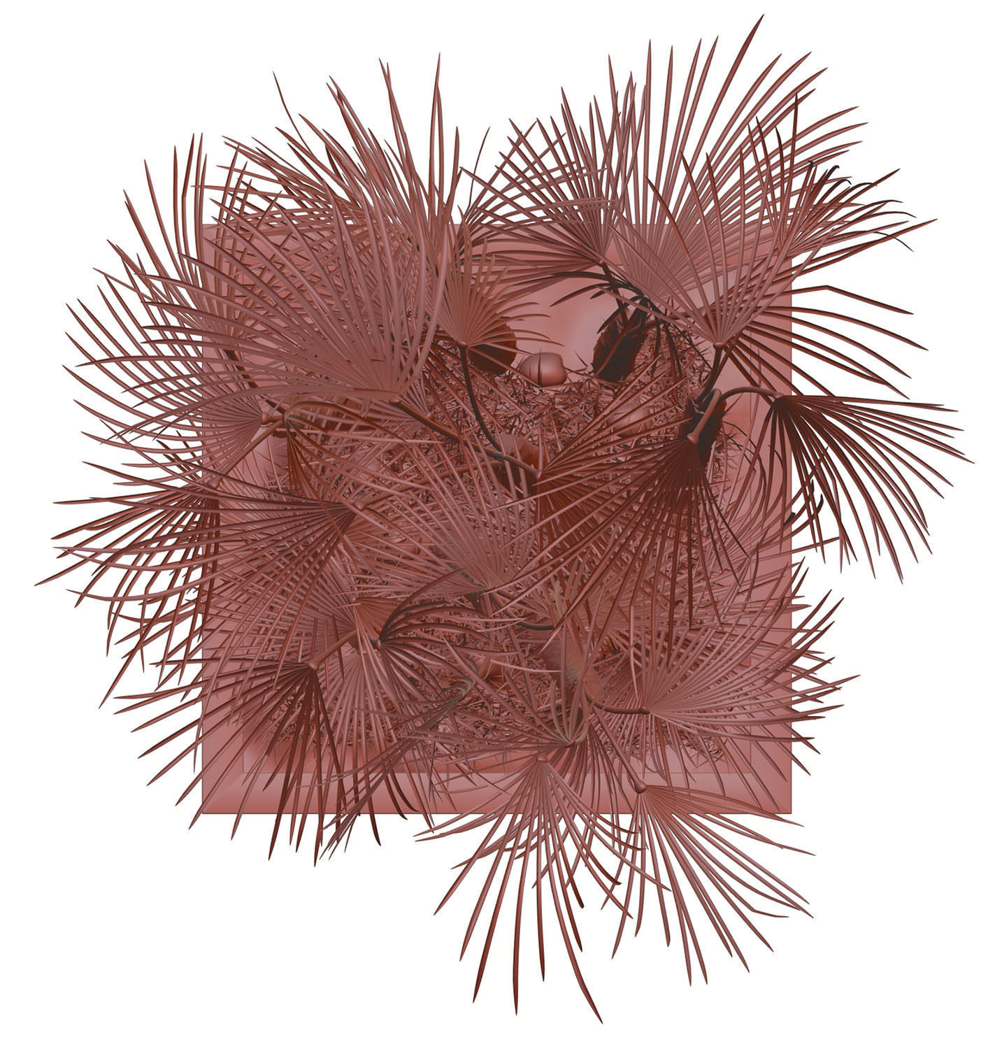 Huge palm tree in the pot 3D model_12