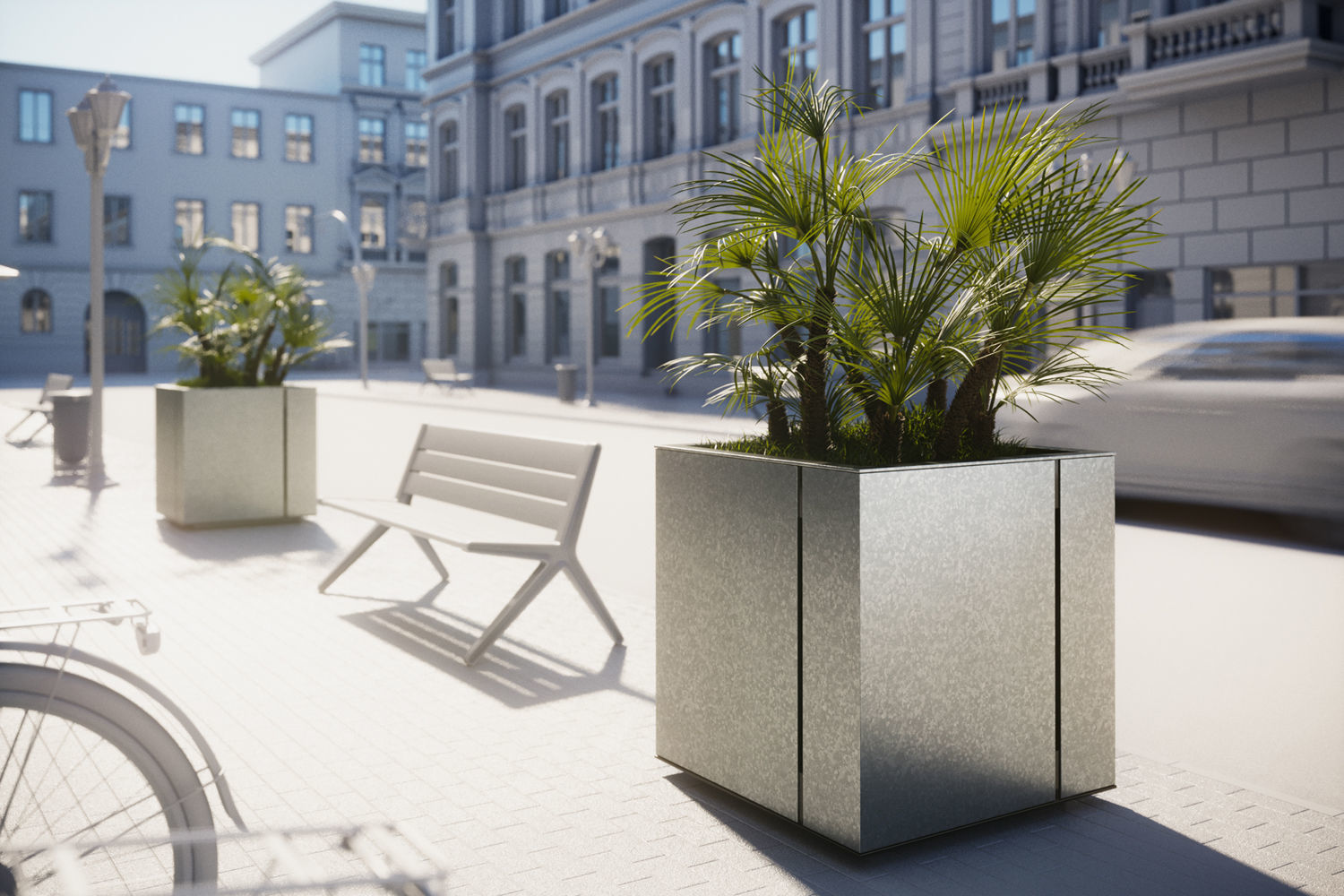 Huge palm tree in the pot 3D model_1