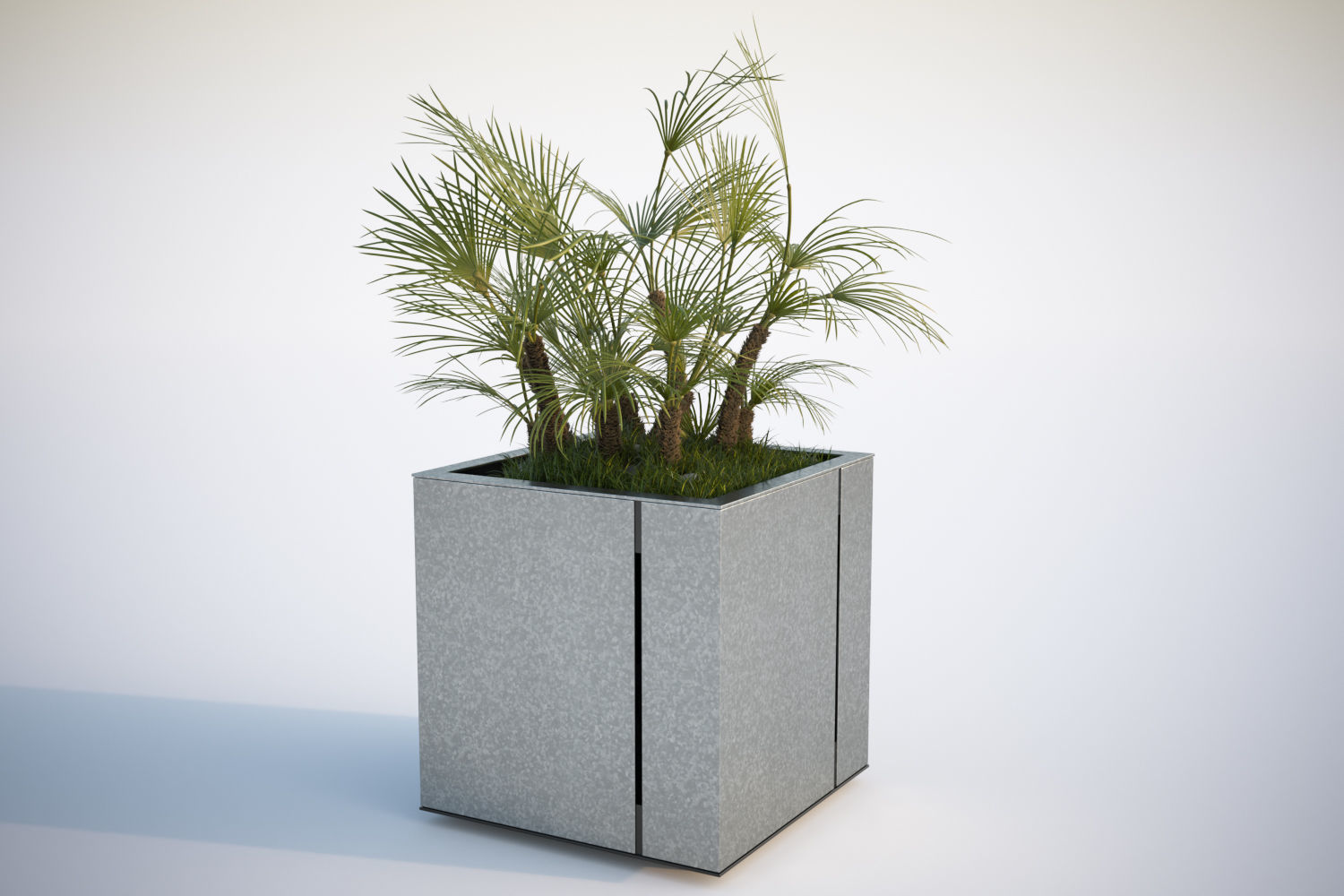 Huge palm tree in the pot 3D model_2