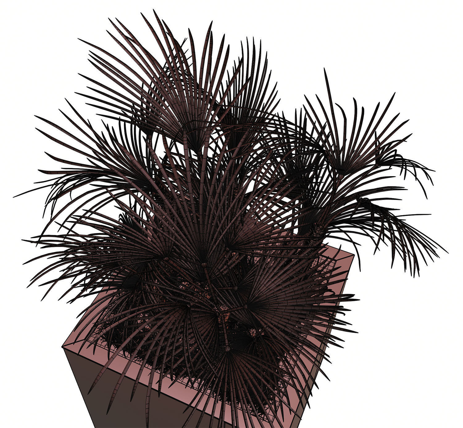 Huge palm tree in the pot 3D model_14