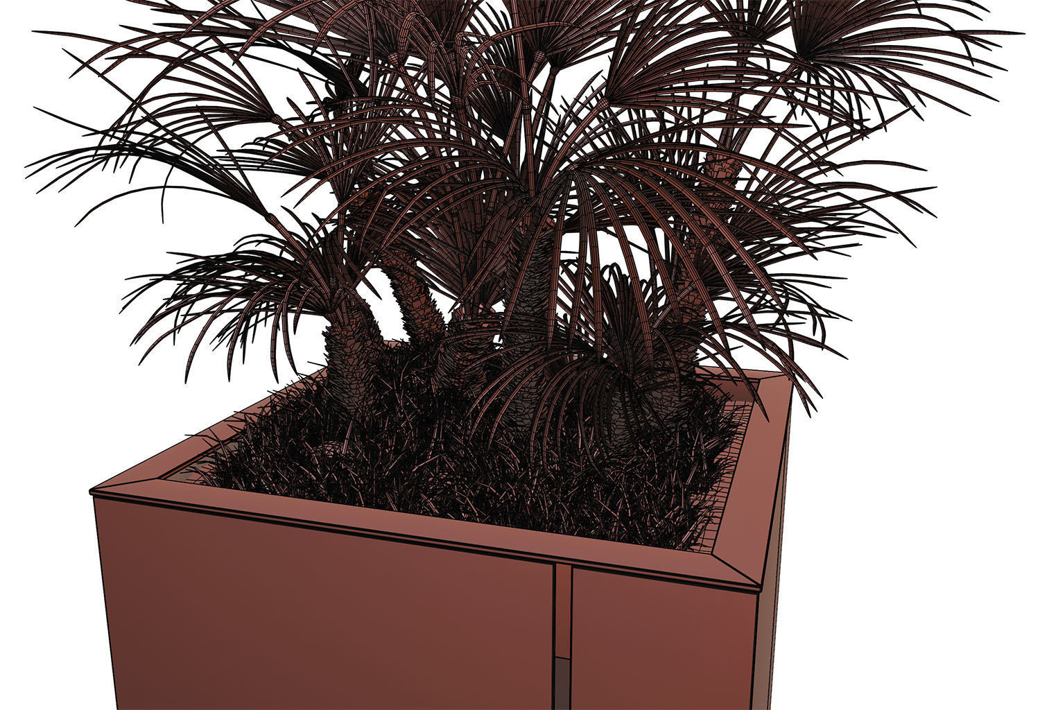 Huge palm tree in the pot 3D model_13