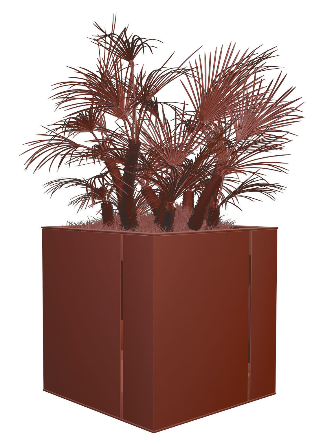 Huge palm tree in the pot 3D model_10