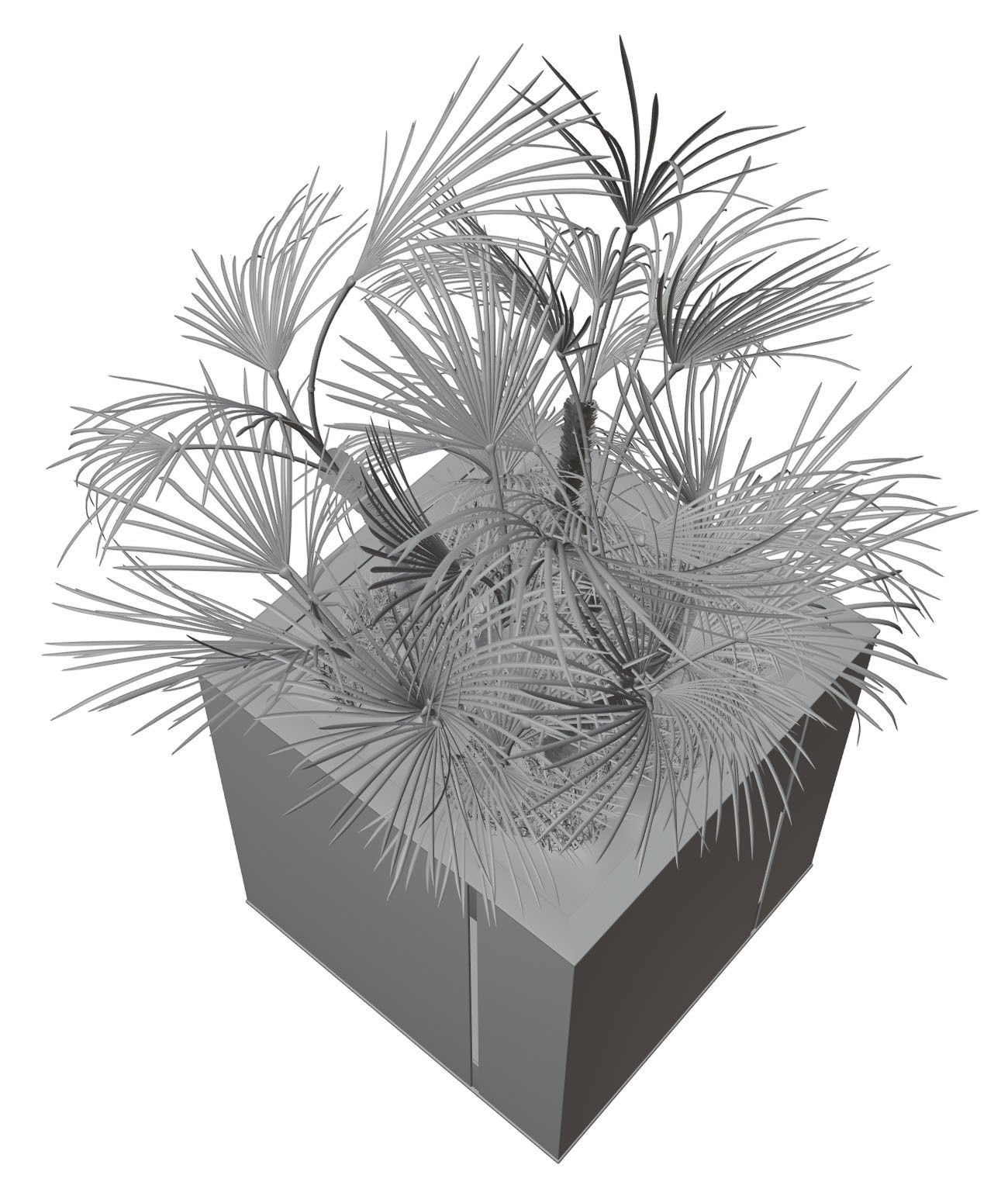 Huge palm tree in the pot 3D model_7