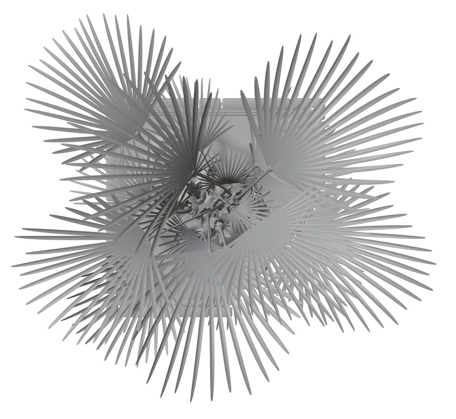 Palm tree in a high planter 3D model_7