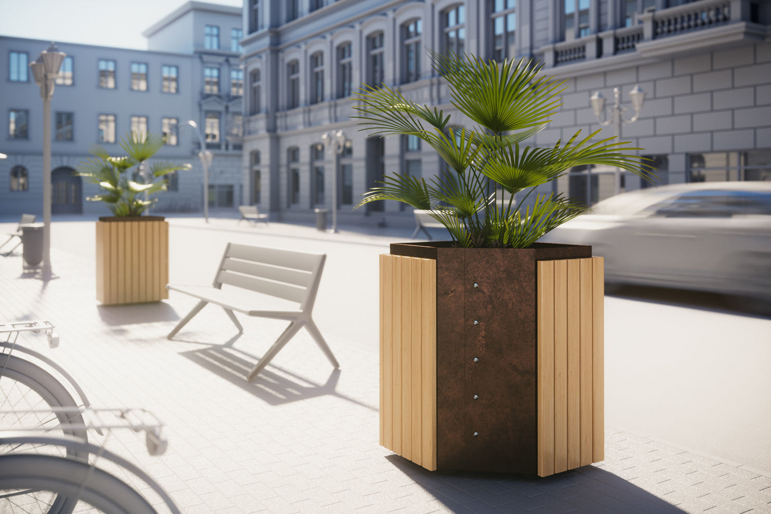 Palm tree in a high planter 3D model_1