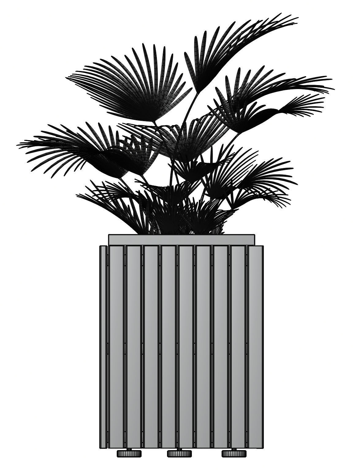 Palm tree in a high planter 3D model_9