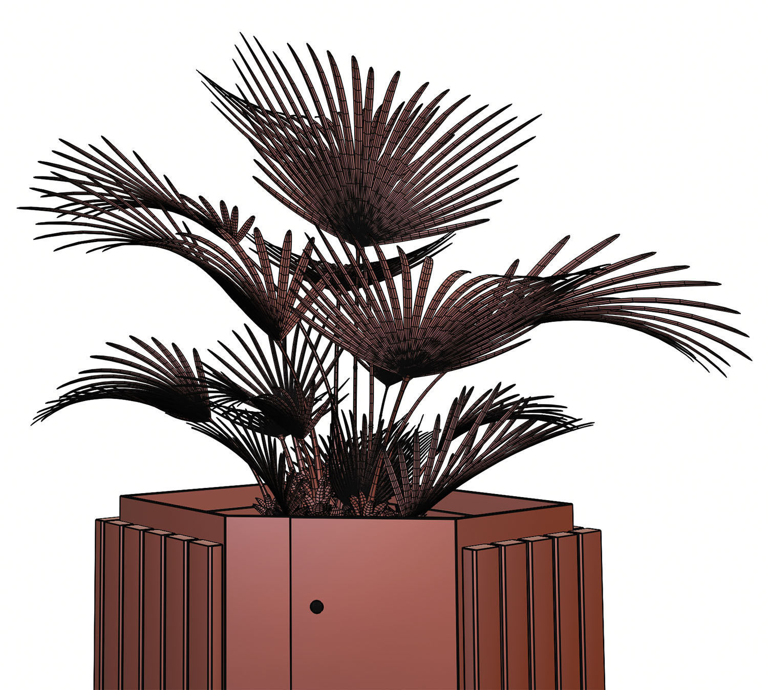 Palm tree in a high planter 3D model_13