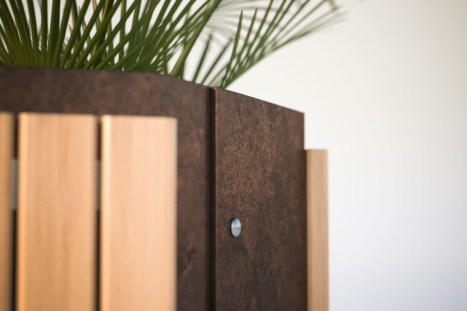 Palm tree in a high planter 3D model_3