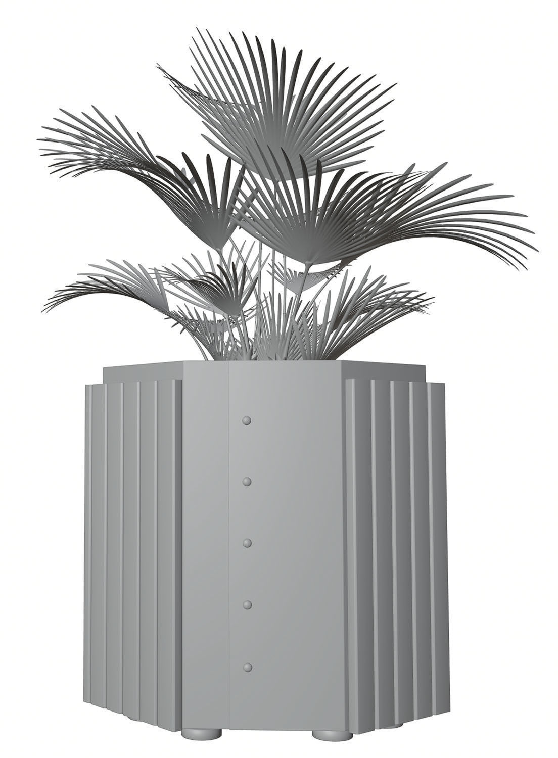 Palm tree in a high planter 3D model_5