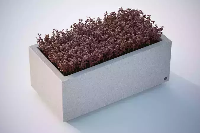 Concrete flowerpot with bushes