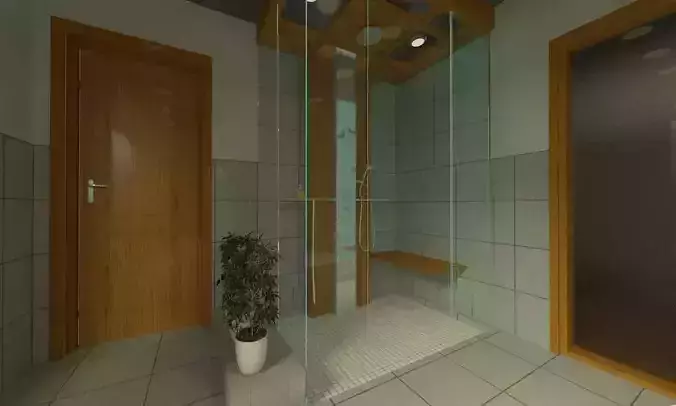 Modern Washroom with Raining Shower  