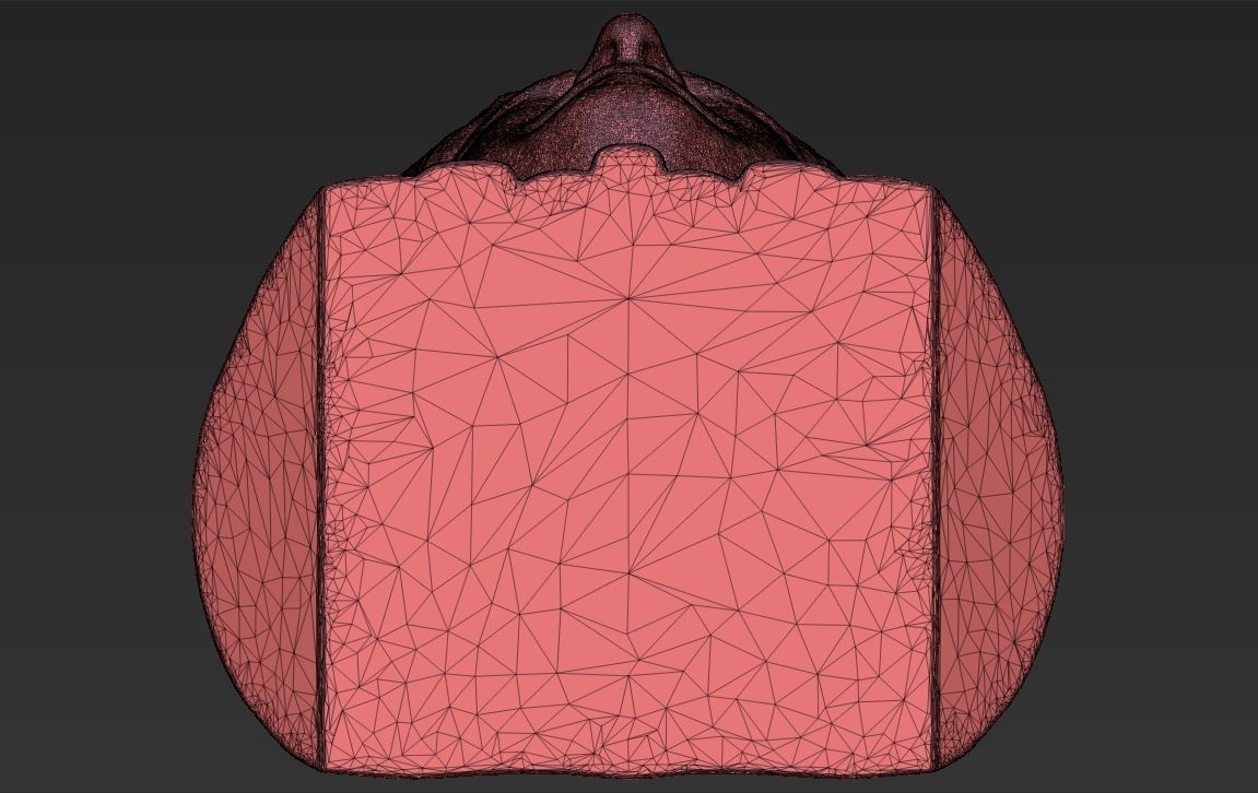 Boris Johnson 3D printing ready stl obj formats 3D print model_29